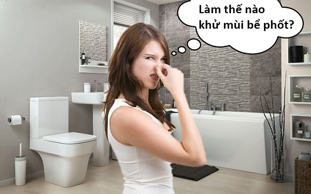 Làm thế nào để khử mùi bể phốt là câu hỏi được rất nhiều người quan tâm