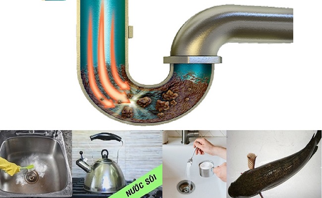 Đường ống thoát nước bị tắc nghẽn