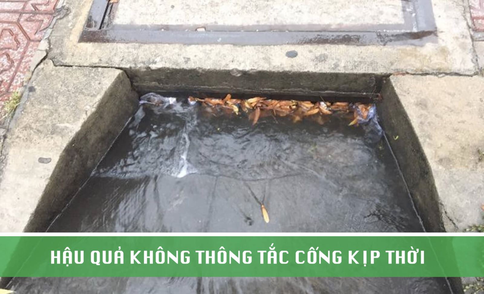 Công ty cam kết dịch vụ chất lượng