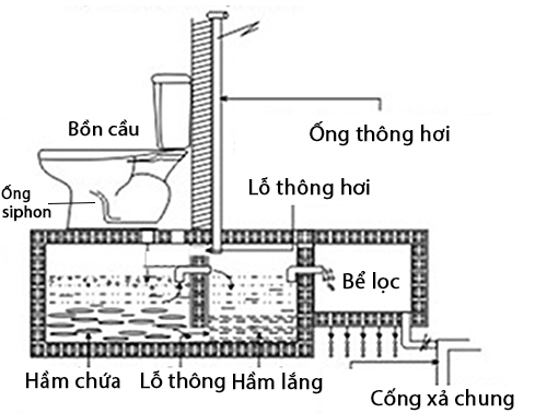 Cấu tạo hệ thống bồn cầu-bể phốt